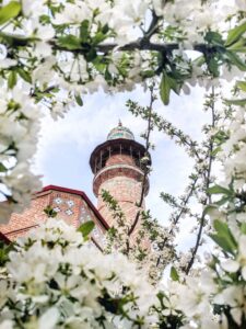 Spring Awakens in Yerevan: A Season of Beauty, Culture, and New Beginnings 2 Yerevan city tour exploring the Armenian capital scaled 1
