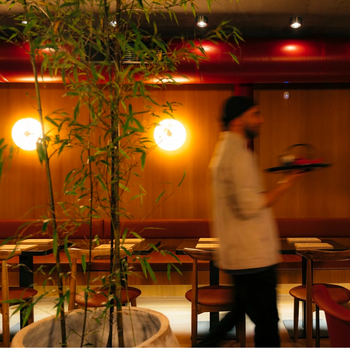 Sushi Room Abashidze Returns with a Fresh Concept and the Same Exceptional Quality