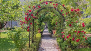 All You Need To Know About Montmartre 3 image 1 1